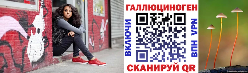 блэк спрут зеркало  Щёлкино  Псилоцибиновые грибы мухоморы  закладка 
